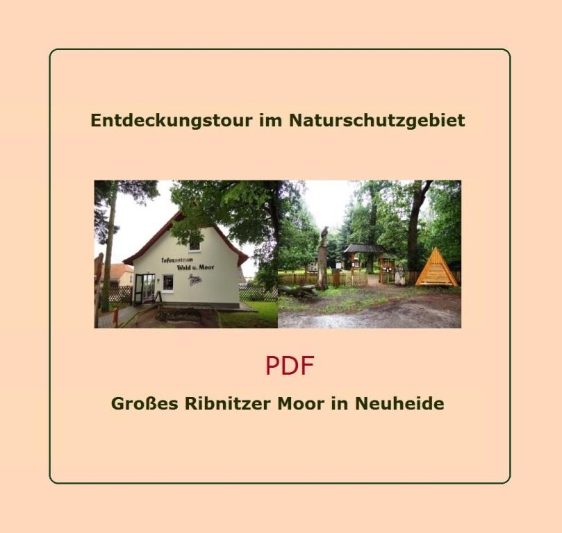 Entdeckungstour im Naturschutzgebiet Großes Ribnitzer Moor in Neuheide - PDF