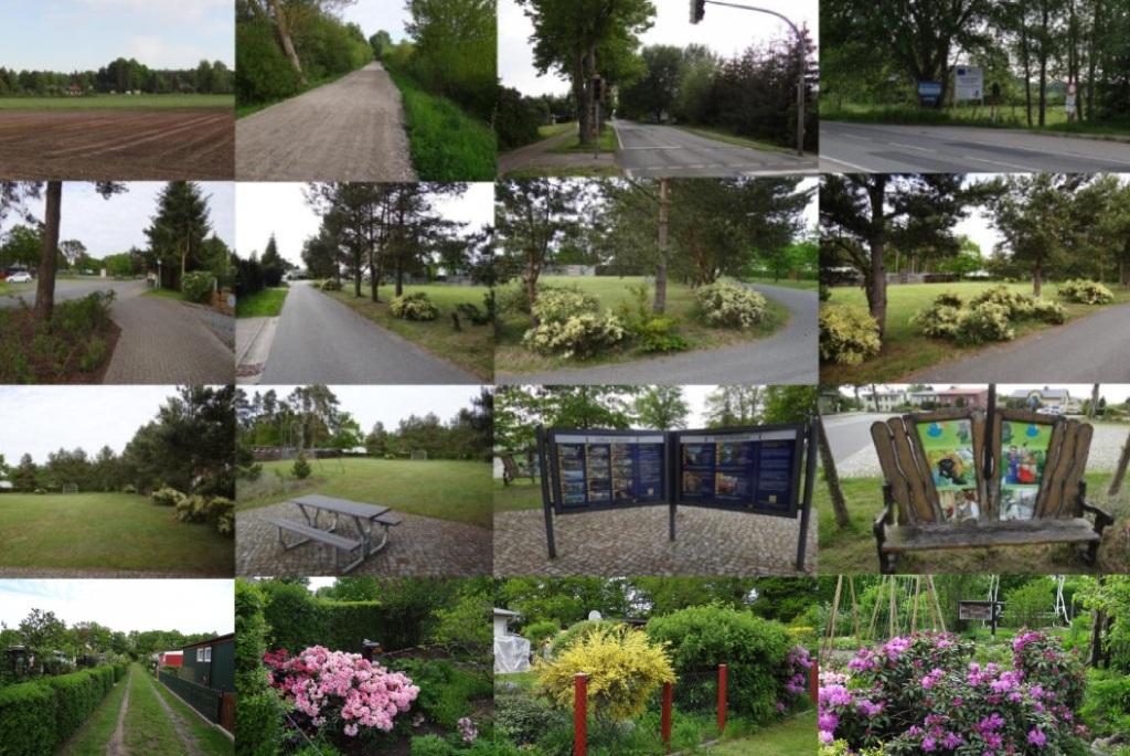 Bilder aus dem Ribnitz-Damgartener Ortsteil Altheide - Aus dem Ortsbeirat Klockenhagen  und den Ortsteilen der Bernsteinstadt Ribnitz-Damgarten - Der Ortsbeirat Klockenhagen vertritt die Belange des Ortsbezirks mit den Ortsteilen Altheide, Borg, Hirschburg, Klein Mritz, Klockenhagen und Neuheide der Bernsteinstadt Ribnitz-Damgarten im Landkreis Vorpommern-Rgen im Bundesland Mecklenburg-Vorpommern - Ostsee-Rundschau.de
