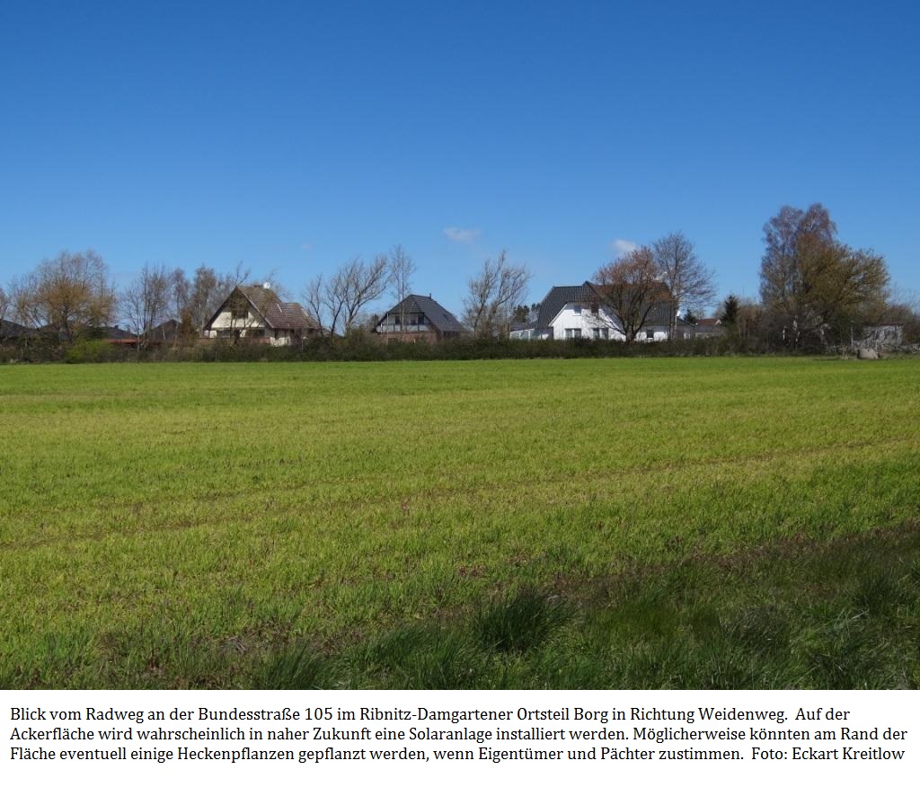 Blick vom Radweg an der Bundesstrae 105 im Ribnitz-Damgartener Ortsteil Borg in Richtung Weidenweg. Auf der Ackerflche wird wahrscheinlich in naher Zukunft eine Solaranlage installiert werden. Mglicherweise knnten am Rand der Flche eventuell einige Heckenpflanzen gepflanzt werden, wenn Eigentmer und Pchter zustimmen. Foto: Eckart Kreitlow