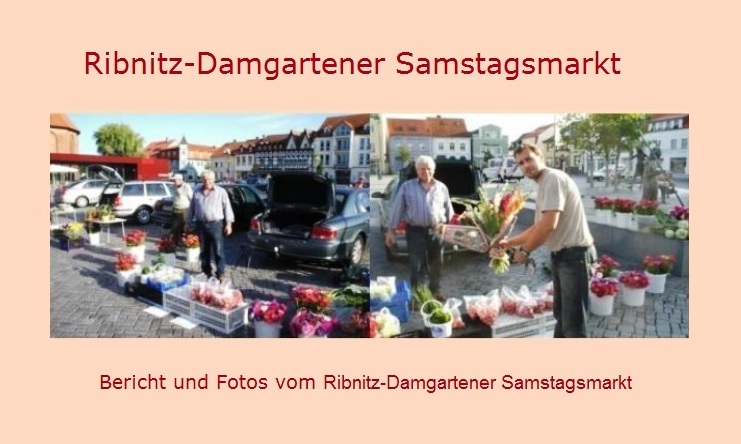 Ribnitz-Damgartener Samstagsmarkt - Bericht und Fotos vom Ribnitz-Damgartener Samstagsmarkt - Der Ribnitz-Damgartener Samstagsmarkt wird immer beliebter! 