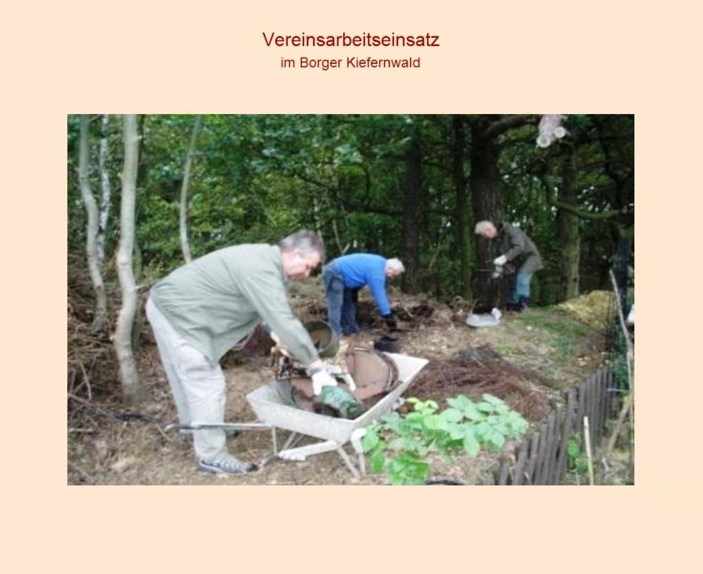 Arbeitseinsatz und Schrottsammelaktion  des gemeinnützigen Vereins 'Grüne Welt & M-V Kulinaris' im Borger Kiefernwald im Oktober 2008 