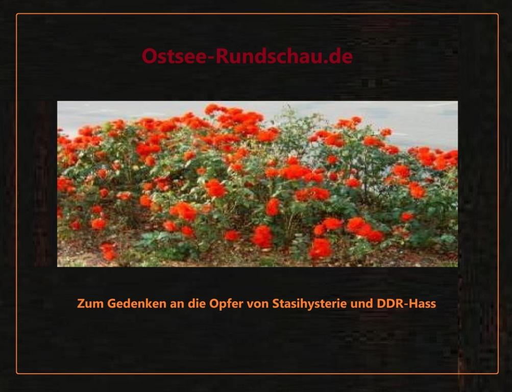 Zum Gedenken an die Opfer von Stasihysterie und DDR-Hass auf Ostsee-Rundschau.de  